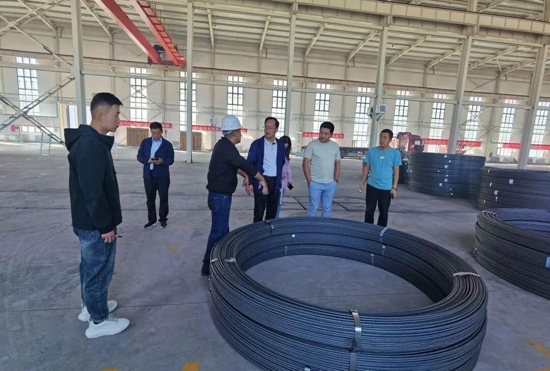耐诺集团董事长林立祥赴酒泉新能源综合利用产业园考察