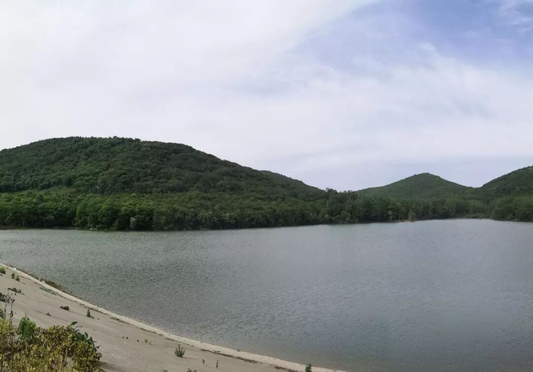 耐诺董事长受邀参与装配式技术  与落户问题探讨关于生态园区的规划