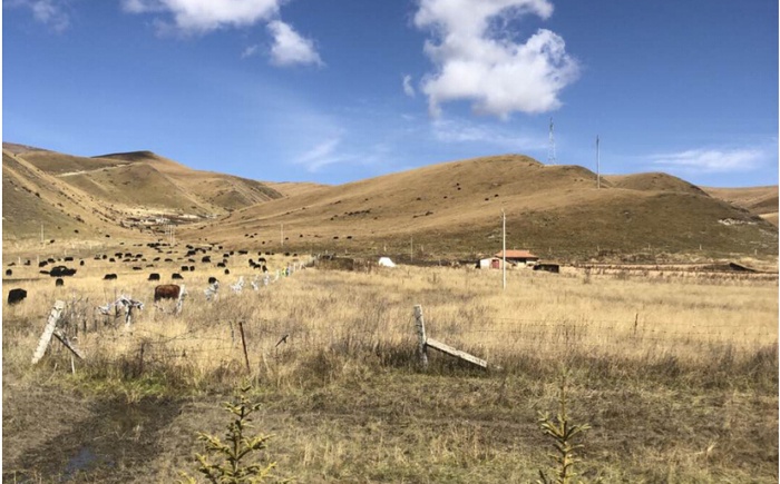 耐诺集团调研四川省阿坝县对口产业扶贫项目