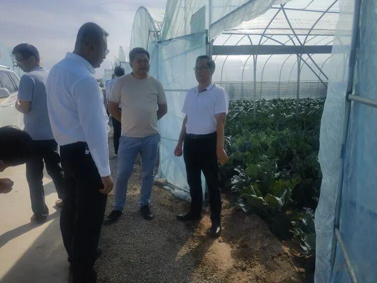 肃州区供销社：江苏客商来肃州区考察洽谈项目