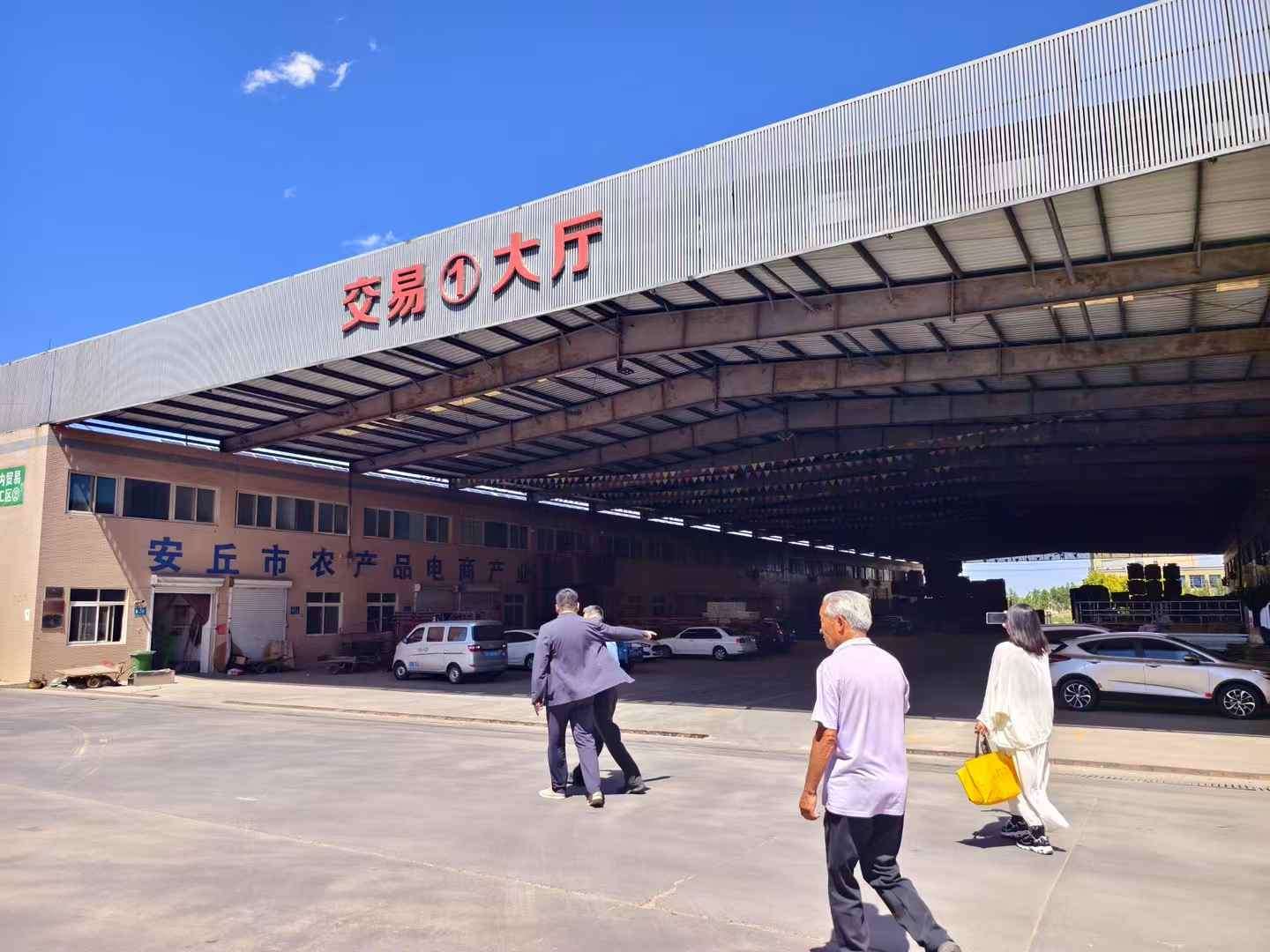 拜访安丘市生姜国际交易中心、瓜菜协会