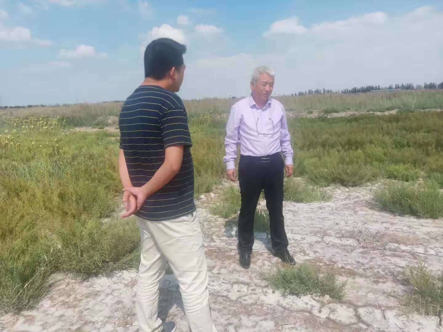 耐诺集团携手吴忠市共绘黄花菜产业与生态治理新蓝图