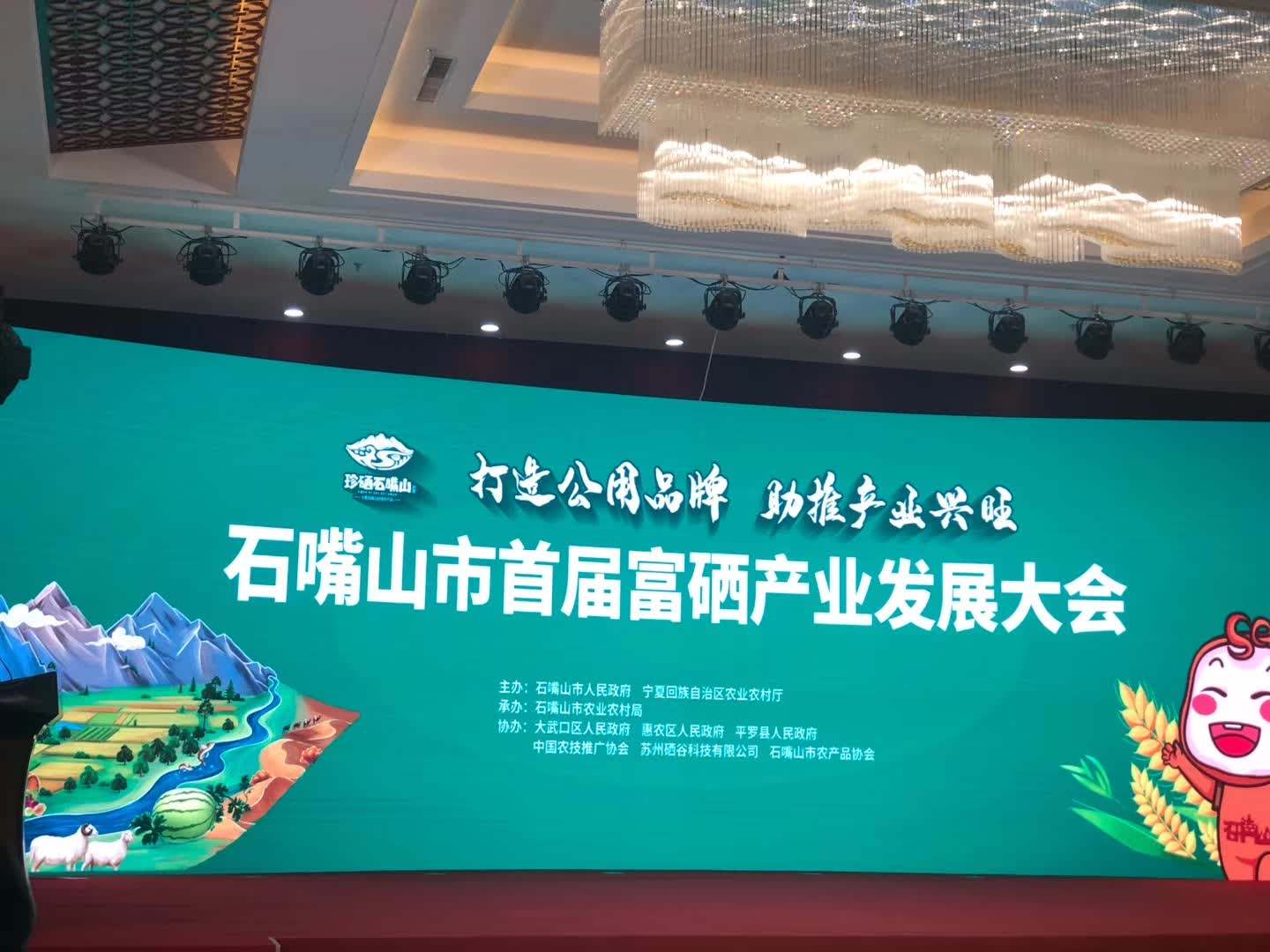 耐诺集团董事长出席石嘴山市首届富硒产业发展大会